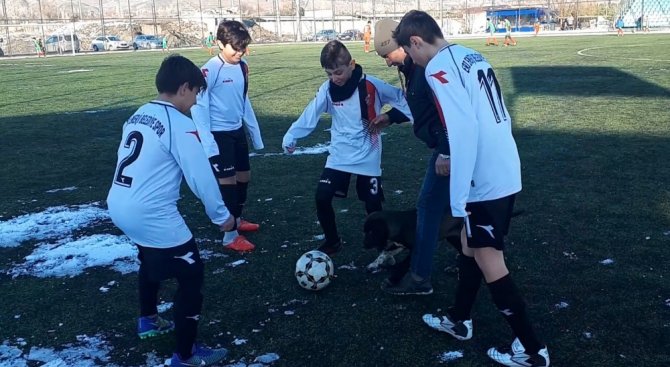 Sahaya Giren Köpek Ortalığı Birbirine Kattı