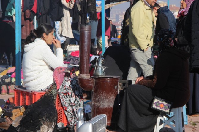 Bit Pazarına Yoğun İlgi