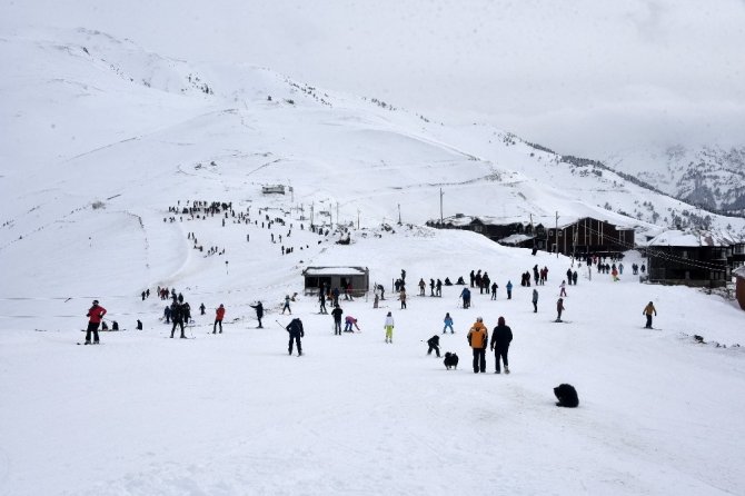 Zigana’da Araç Park Edecek Yer Kalmadı