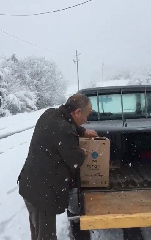 Dünyanın En Hızlı Uçan Kuşu Gökdoğan, Trabzon’da Yaralı Halde Bulundu