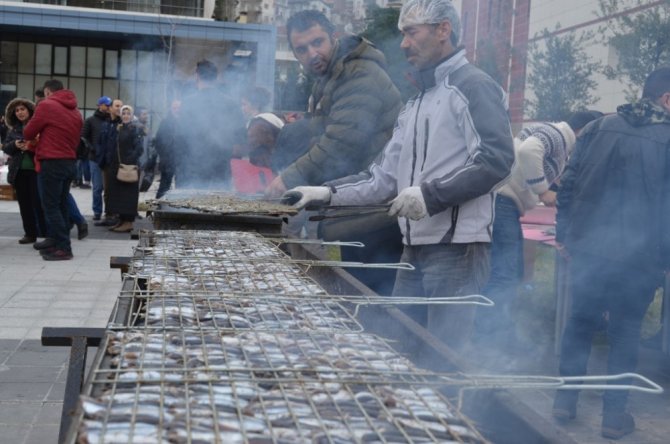 Artvin’de Üniversite Öğrencileri Hamsiye Doydu