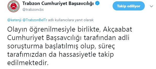 Trabzon’daki Hayvan Katliamına Adli Soruşturma Başlatıldı