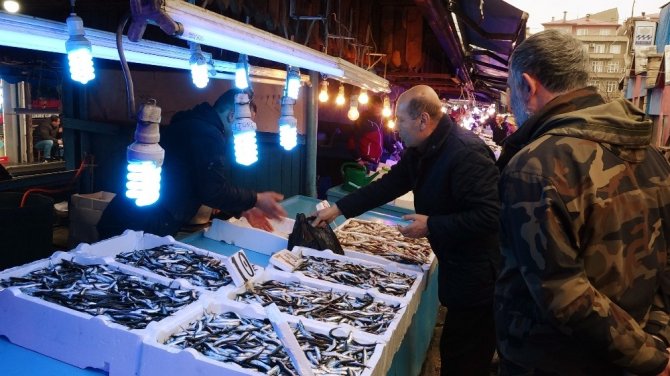 Hamsiye Gürcistan Etkisi
