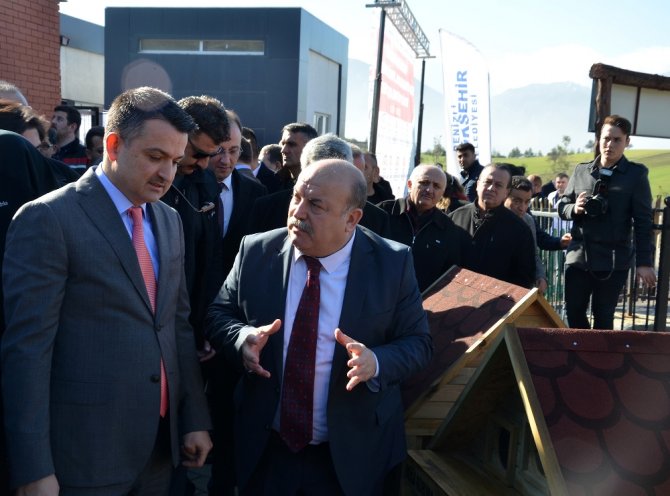 "Pet Shoplarda Bundan Sonda Kedi Köpek Satılmayacak"