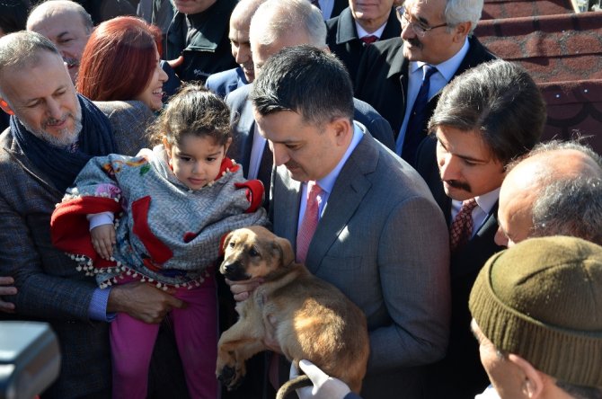 "Pet Shoplarda Bundan Sonda Kedi Köpek Satılmayacak"