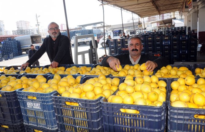 Tarlada 80 Kuruş, Büyükşehirlerde 4 Misli