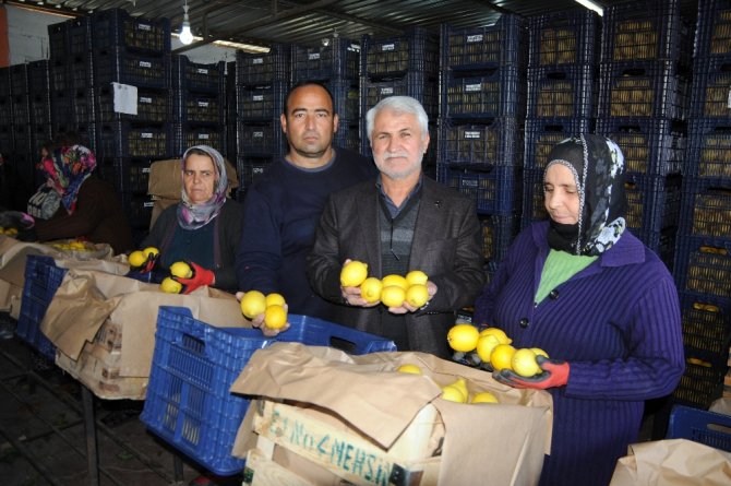 Tarlada 80 Kuruş, Büyükşehirlerde 4 Misli