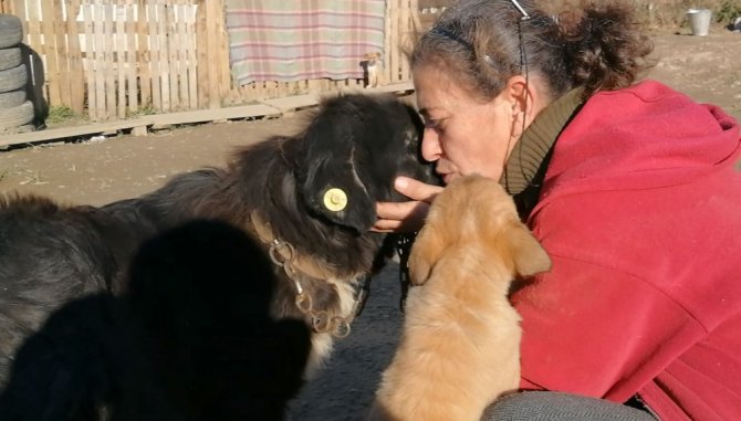 Doğuştan Gözleri Olmayan Köpeğe Evladı Gibi Bakıyor