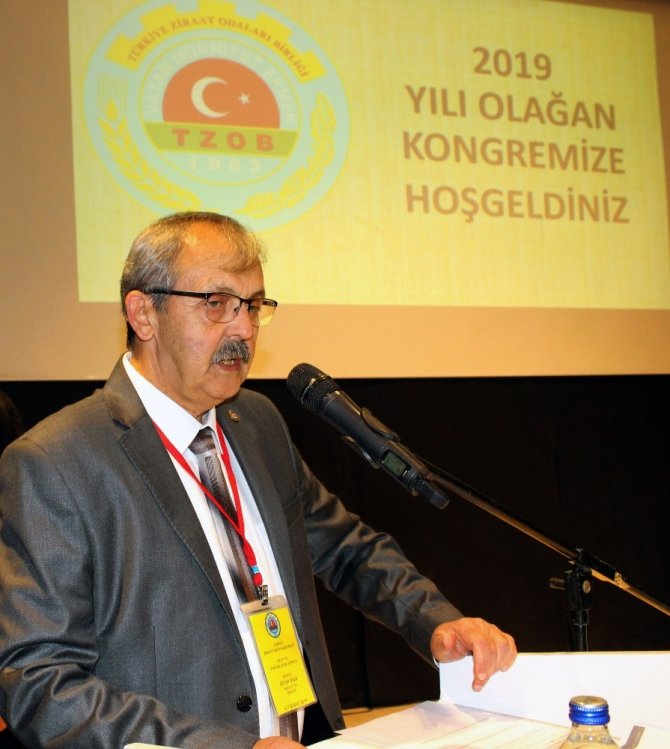 Fındık Üreticisinin Kaygısı Fındık Rekoltesinin Giderek Düşmesi