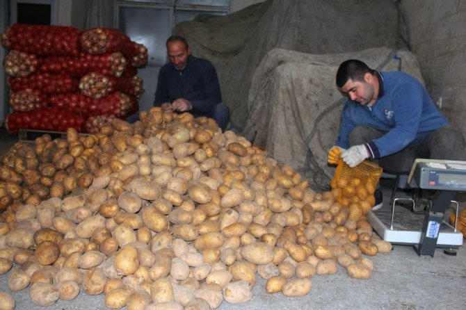 Karakuz, Yeni Hal Yasası Çalışmalarındaki Eksikliğe Dikkat Çekti