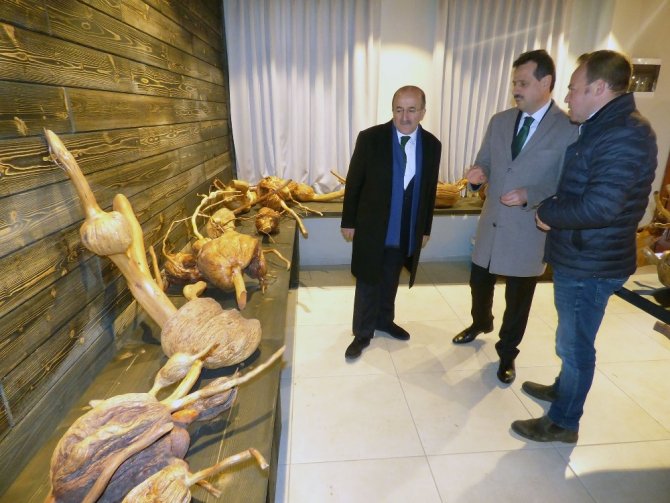 Trabzon’da Bitki Kütüphanesi Ve Kök Müzesi Açılacak