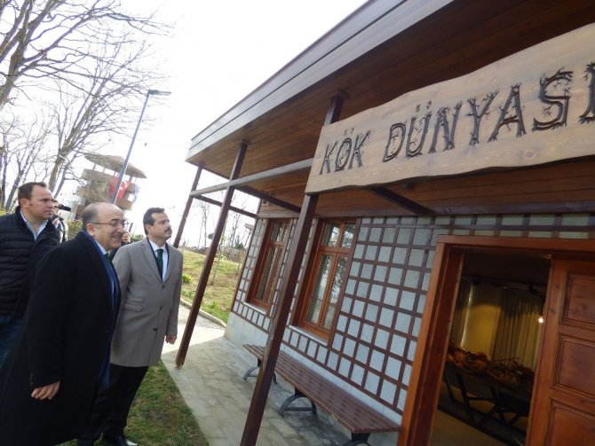 Trabzon’da Bitki Kütüphanesi Ve Kök Müzesi Açılacak
