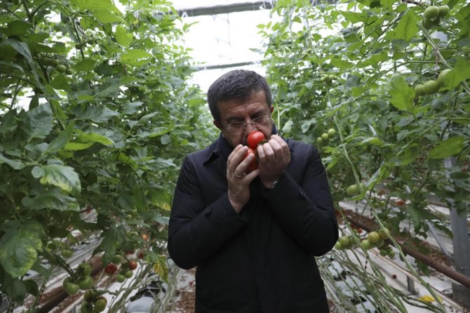 Zeybekci: İlk 3 Ay Eve Gitmek Yok