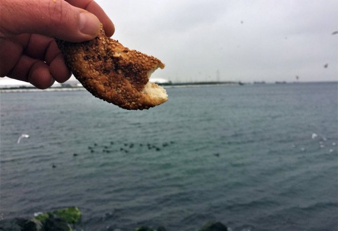 Engel Tanımayan “Martıcı Baba”
