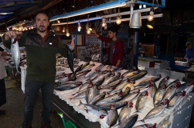 Bu Sezon Balık Haline Gelen Hamside Düşüş, Palamutta İse Bolluk Yaşandı