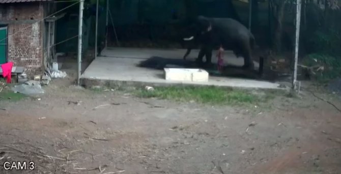 Filin Altında Kalan Bakıcı Kurtarılamadı