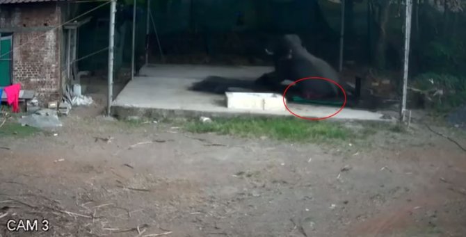 Filin Altında Kalan Bakıcı Kurtarılamadı