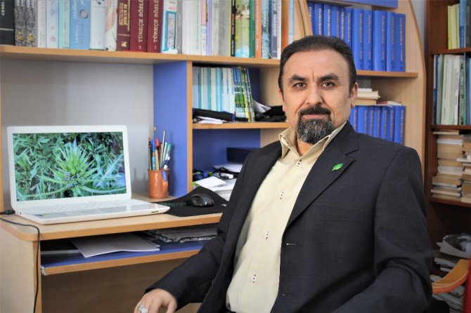 Yeni Bir Bitki Türü Keşfedildi