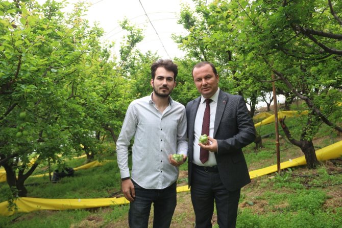 Eğitim Tanesi Dalında 10 Lira
