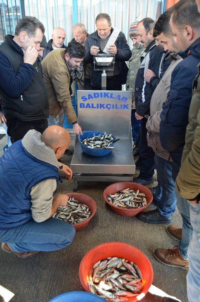 Trabzon Toptancı Balık Hali Son Yılların En Durgun Dönemini Yaşıyor
