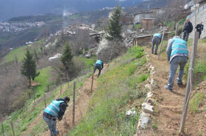 Artvin’de Yükümlülerden Fidan Dikim Ve Bakım Çalışması