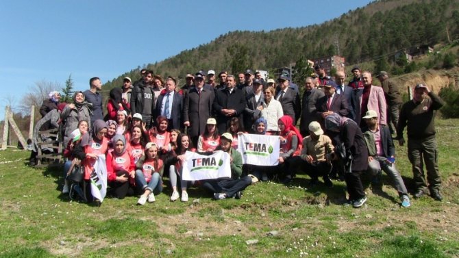 Üniversite Öğrencileri Fidan Dikti
