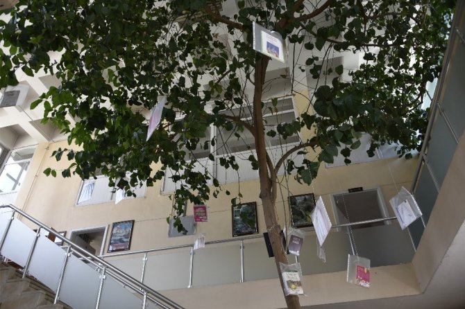 Limon Ağaçlı Kütüphane İlgi Çekiyor