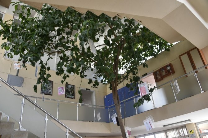 Limon Ağaçlı Kütüphane İlgi Çekiyor