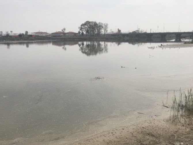 Sakarya Nehrindeki Kirlilik Seviyesi En Üst Seviyede 