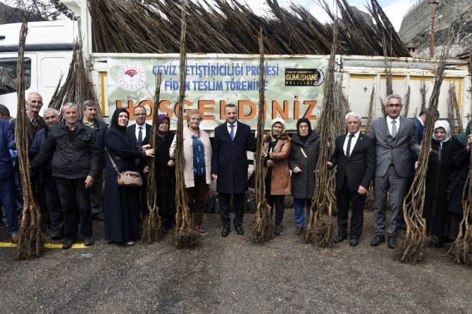 Gümüşhane’de Üreticilere 36 Bin Adet Ceviz Fidanı Daha Dağıtıldı