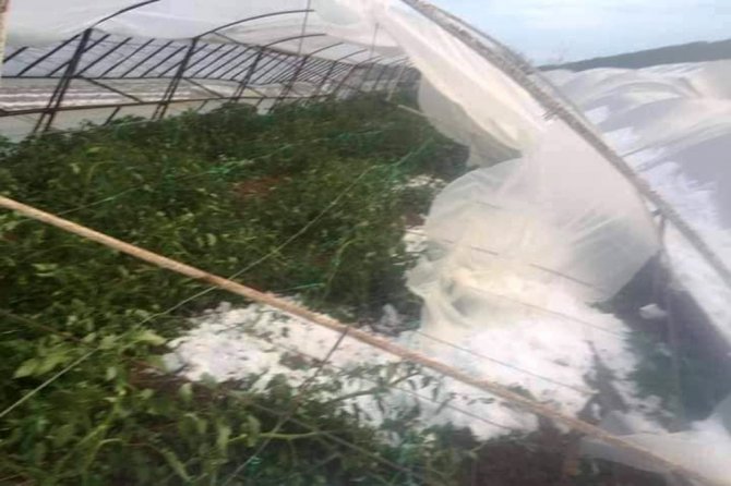 Antalya’da Çiftçiyi Dolu Vurdu