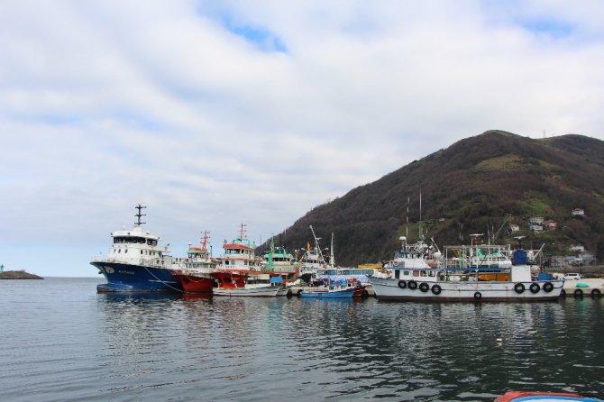 Balıkçılığın Trabzon Ekonomisindeki Yeri