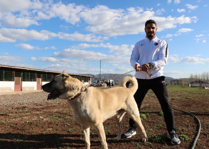 Taha Akgül: "Minderin Kangalıyım"