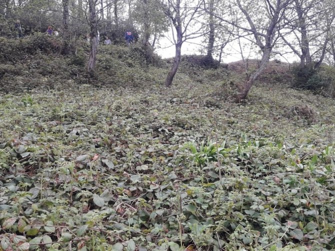 Uçuruma Yuvarlanan Otomobilin Sürücüsü Hayatını Kaybetti