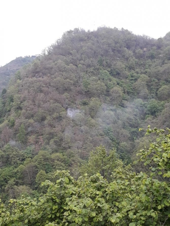 Giresun’daki Orman Yangını