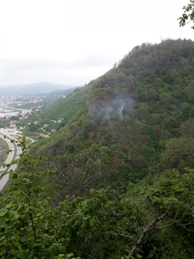 Giresun’daki Orman Yangını