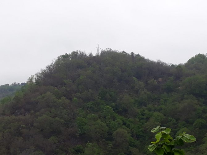 Giresun’daki Orman Yangını