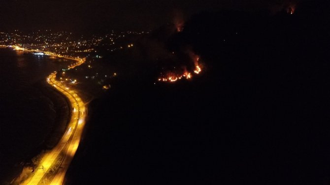 Giresun’da Ki Orman Yangını