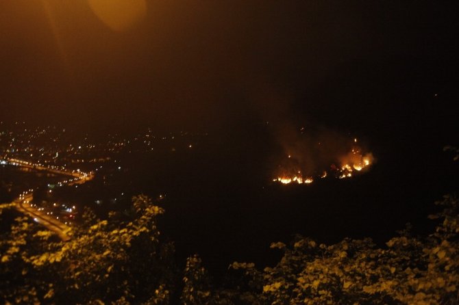Giresun’da Ki Orman Yangını