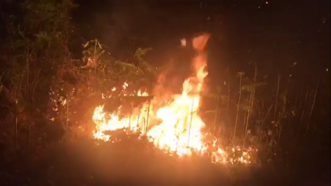 Rize’deki Orman Yangını Güçlükle Söndürüldü