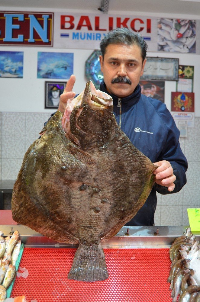 Balık Fiyatları Ramazan’da Düştü