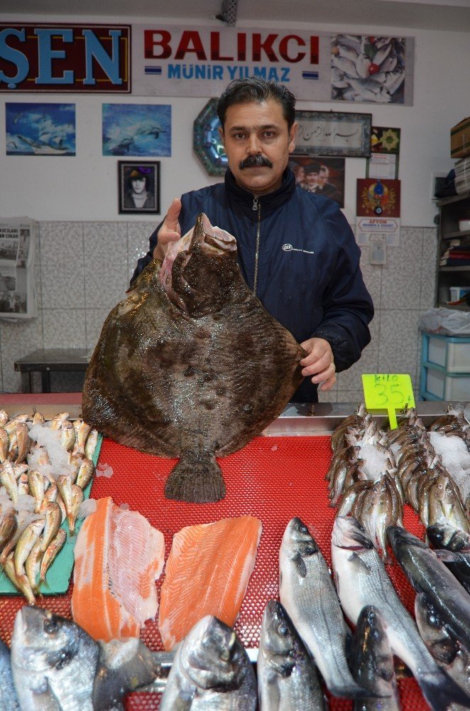 Balık Fiyatları Ramazan’da Düştü