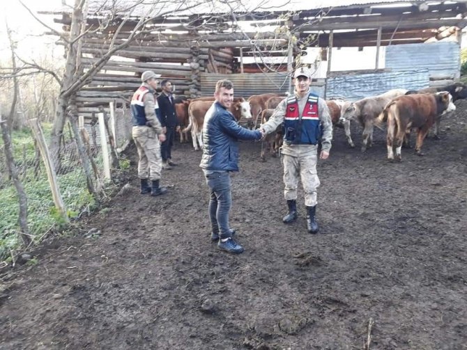 Artvin’de Köylünün Kaybolan Hayvanlarını Jandarma Buldu