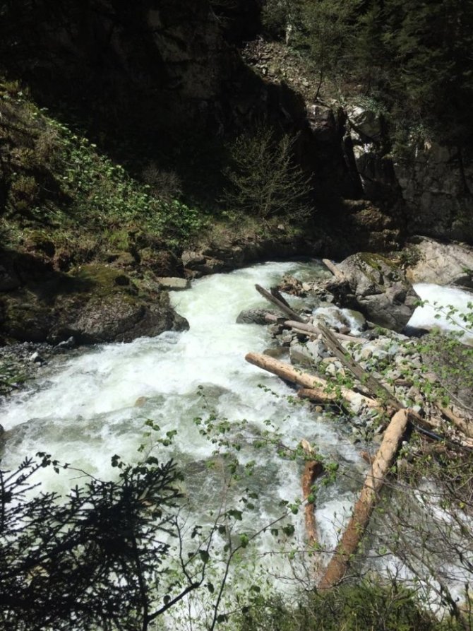 Kayıp Gazeteciyi Arama Çalışmaları 4. Günde Derebaşı Deresi’nde Yoğunlaştırıldı