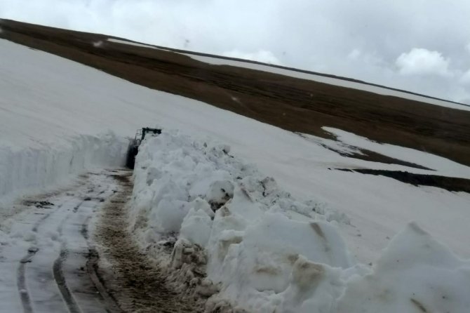 Gümüşhane Yaylalarında Karla Mücadele Devam Ediyor