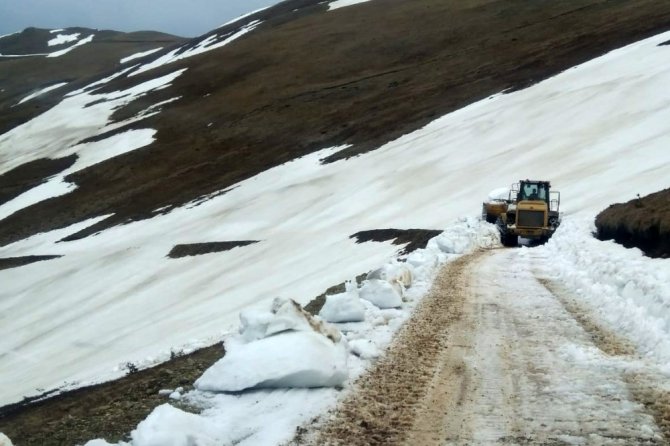 Gümüşhane Yaylalarında Karla Mücadele Devam Ediyor