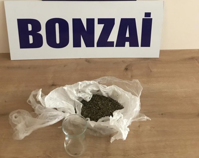 Bursa’da Uyuşturucu Operasyonu: 17 Gözaltı
