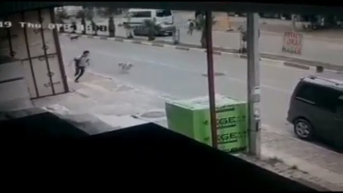 Antalya’da Okula Giden İki Öğrenciye Sokak Köpekleri Saldırdı