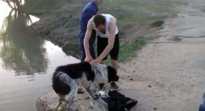 Su Kanalına Düşen Köpek Kurtarıldı