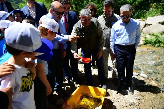 Trabzon’da 14 Yılda 16 Milyon Yavru Alabalık Orman İçi Sulara Bırakıldı